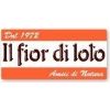 Fior di Loto